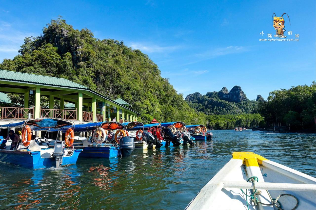 Jelajahi Mangrove Langkawi: Tur Menakjubkan ke Ekosistem Pesisir yang Vital